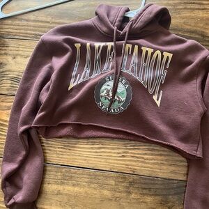 Cropped Brown Hoodie
